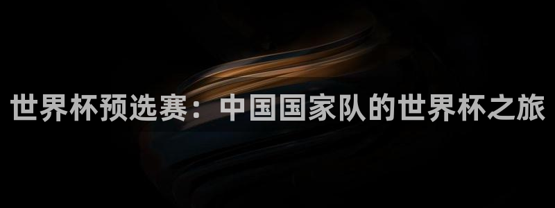 世界杯预选赛欧洲赛区赛程：世界杯预选赛：中国国家队的世界杯之旅