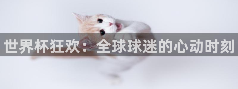 2026世界杯：世界杯狂欢：全球球迷的心动时刻