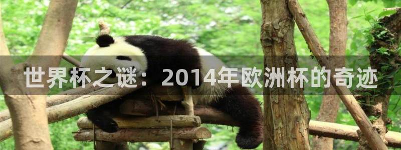世界杯 中国：世界杯之谜：2014年欧洲杯的奇迹