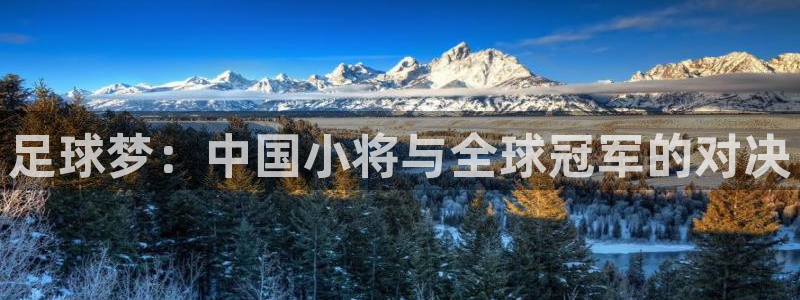 免费足球比赛直播高清：足球梦：中国小将与全球冠军的对决