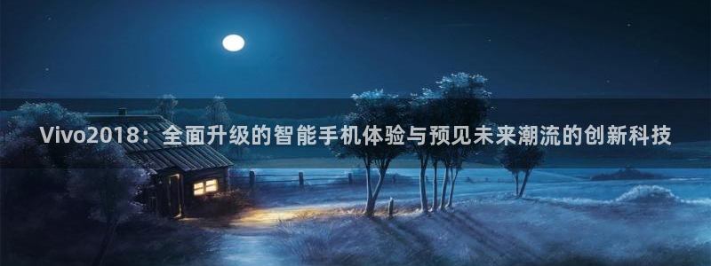 2026世界杯亚洲预选赛赛程：Vivo2018：全面升级的智能手机体验与预见未来潮流的创新科技