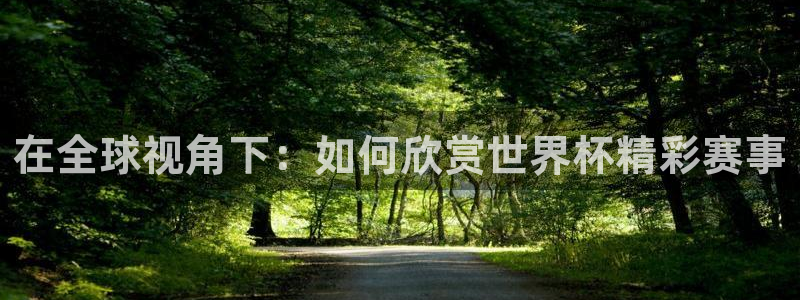 2026世界杯官网入口：在全球视角下：如何欣赏世界杯精彩赛事