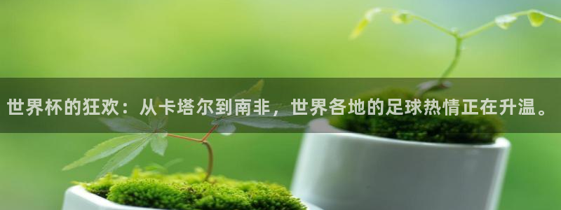 世界杯决赛预测：世界杯的狂欢：从卡塔尔到南非，世界各地的足球热情正在升温。