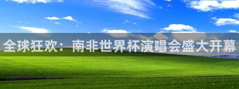 世界杯系列赛：全球狂欢：南非世界杯演唱会盛大开幕