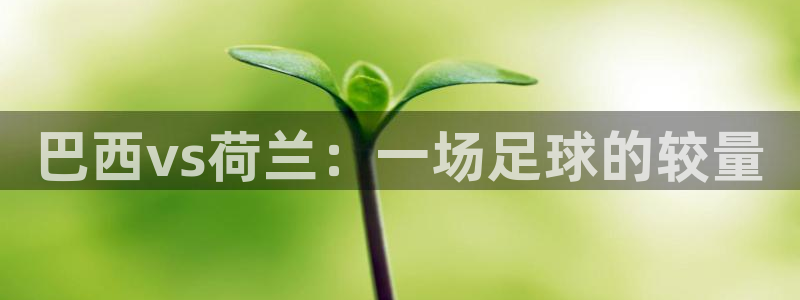 世界杯直播免费观看：巴西vs荷兰：一场足球的较量