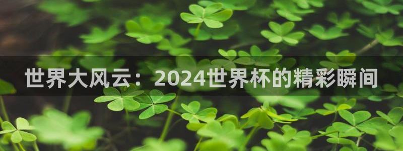 世界杯视频：世界大风云：2024世界杯的精彩瞬间
