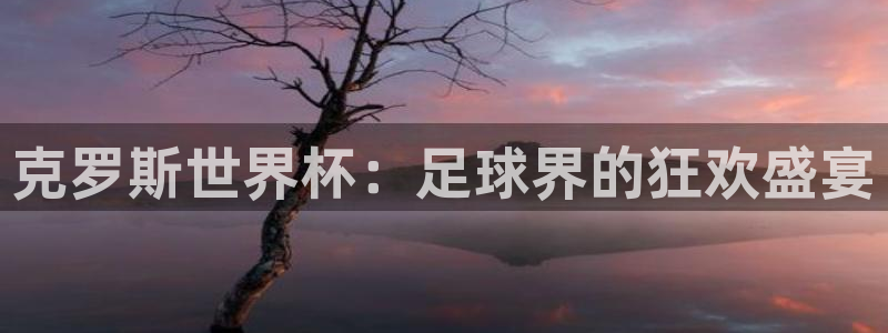 世界杯足球：克罗斯世界杯：足球界的狂欢盛宴